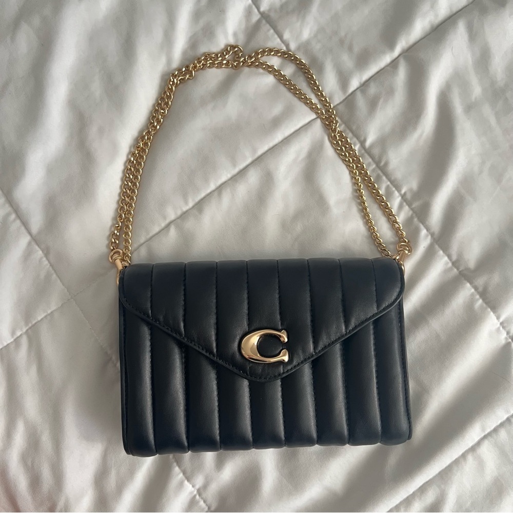 Tammie Clutch Crossbody With Puffy Linear Quilting RARE